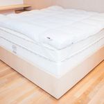 pillow1