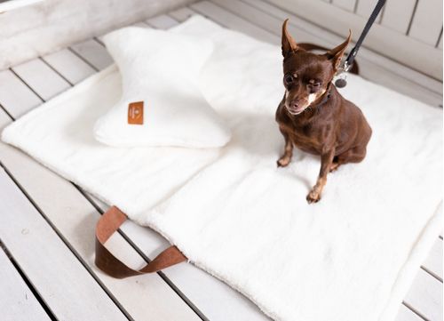 Cama Pet To Go
