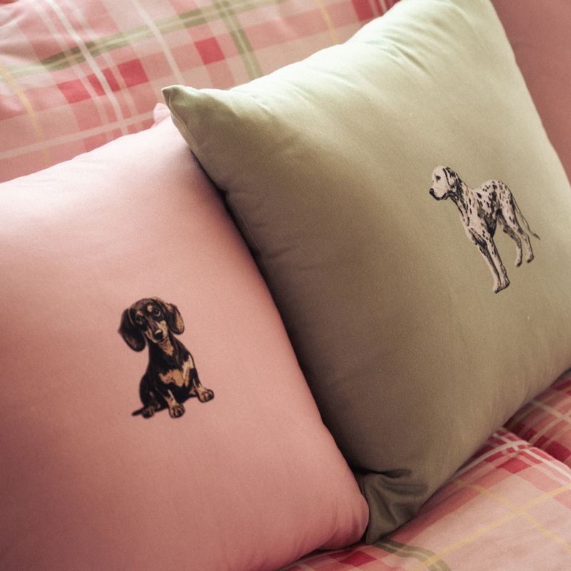 Sharon Klein Photography_ Flanela_ 12